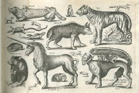 Средневековые Гравюры животных