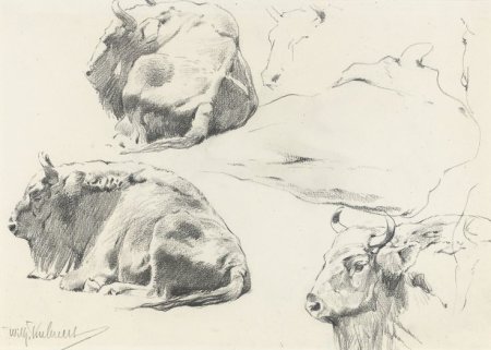 Старинные Наброски животных