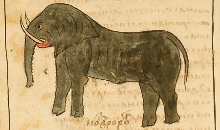 Слон на средневековых миниатюрах