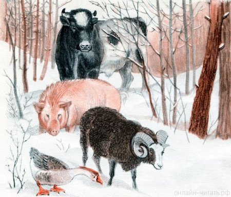 Зимовье зверей бык баран свинья