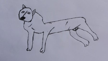 Памятник собаке рисунок карандашом