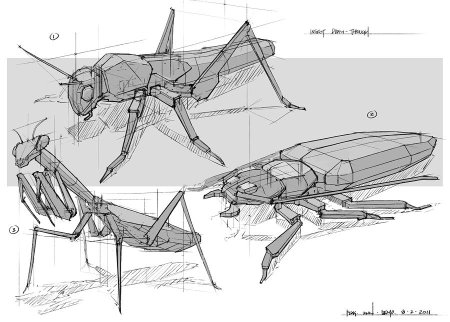 Конструктивный рисунок животного