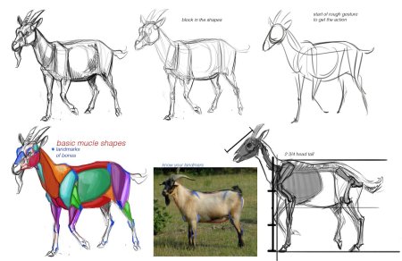 Конструктивное рисование животных