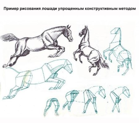 Конструктивное рисование лошади