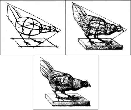 Линейно-конструктивный рисунок чучела птицы