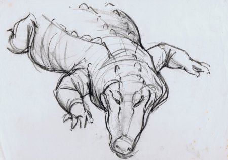 Конструктивный рисунок животного