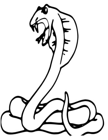 Раскраска змеи