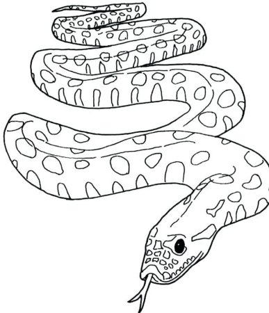 Анаконда раскраска