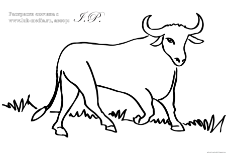 Тур раскраска для детей