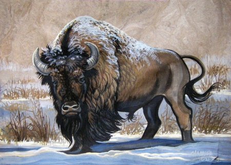 Степной Бизон Bison Priscus