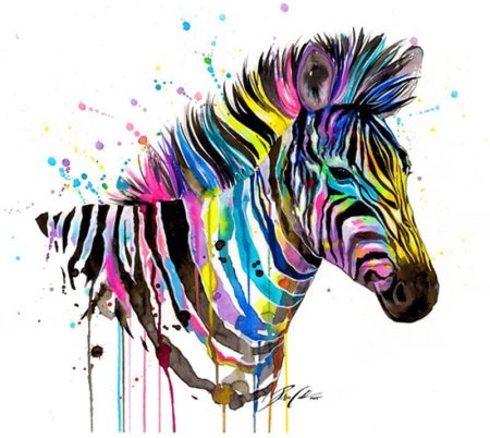 Разноцветная Зебра