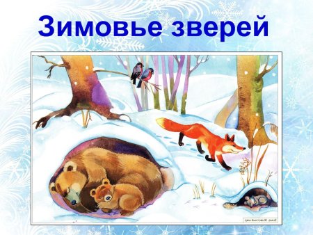 Как зимуют животные