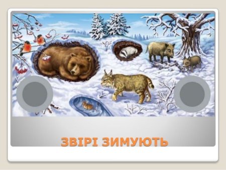 Зимующие звери в лесу для детей