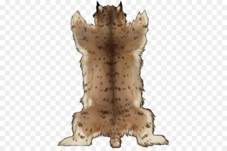 Нарисовать шкуру