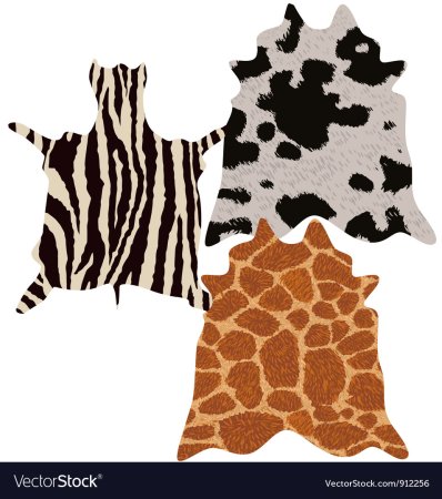 Шкуры животных рисунок