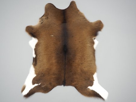 В шкуре зверя