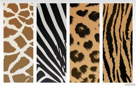 Полоски и пятнышки