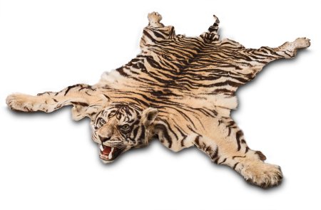 В шкуре зверя