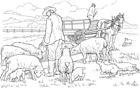 Раскраска на тему сельское хозяйство
