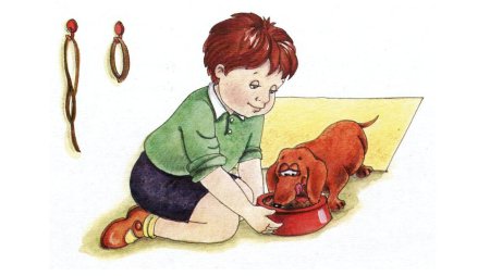 Ребенок кормит собаку