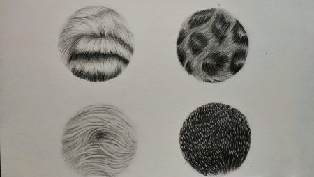 Рисование шерсти животных