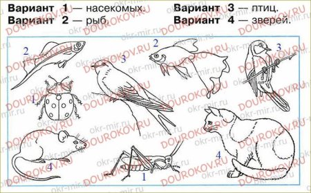Изобрази с помощью схематических рисунков