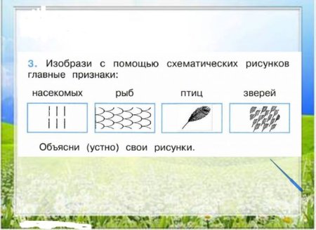 Изобрази с помощью схематических рисунков главные признаки