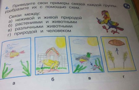 Связь между живой и неживой природой