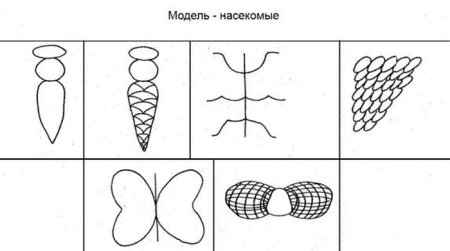 Графические модели в экологическом воспитании дошкольников
