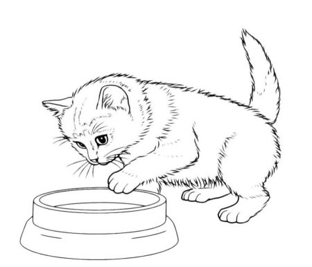Котенок. Раскраска