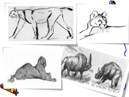 Изо животные