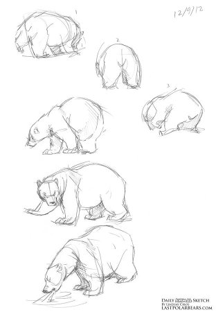 Медвежонок набросок