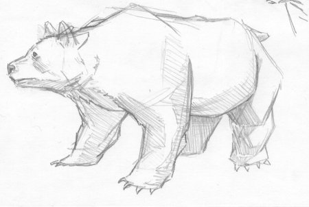 Медведь набросок