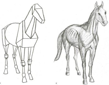 Конструктивное рисование животных