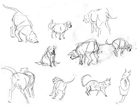 Последовательный процесс рисования животных