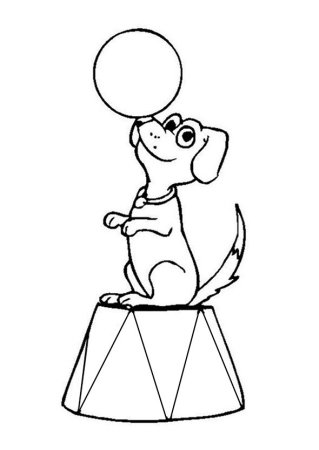 Цирковые животные раскраски для детей