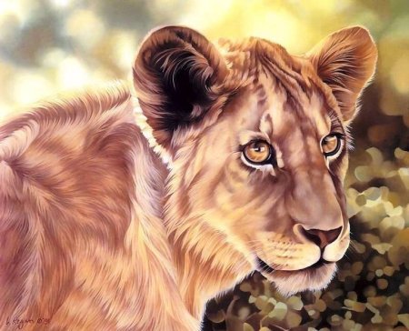 Красивые иллюстрации животных