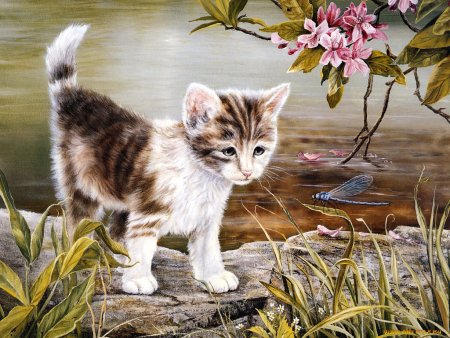 Shirley Deaville картины