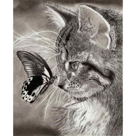 Котенок с бабочкой