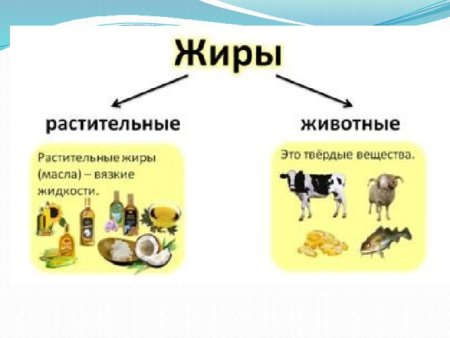 Жиры строение биология