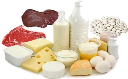 Насыщенные животные жиры