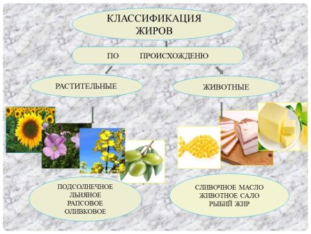Ограничиваются животные жиры