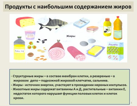 Применение жиров химия