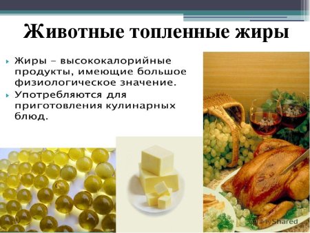 Продукты-источники ненасыщенных жирных кислот