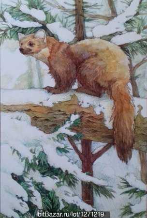 Лесные звери и птицы