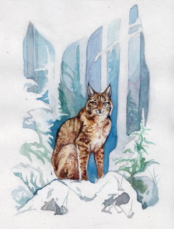 Рисунки животных Сибири