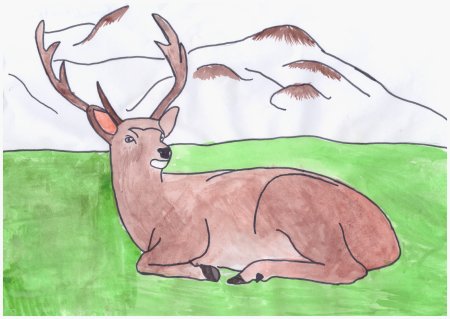 Животные Сибири рисунок