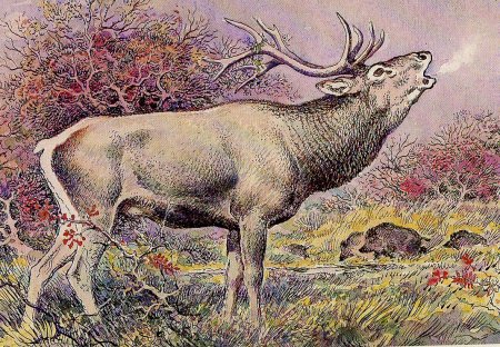 Горбатов художник анималист