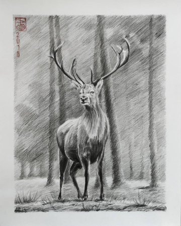 Олень карандашом