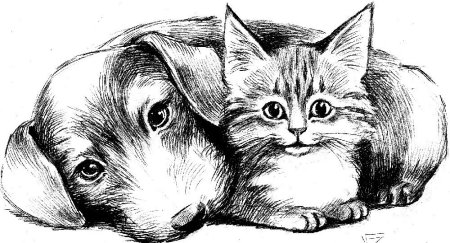 Кошка и собака рисунок